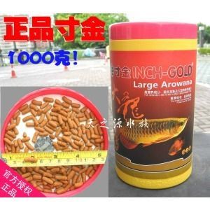 金龍魚飼料能喂金里魚嗎：金龍魚可以喂金里魚嗎