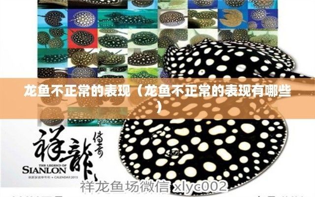 龍魚(yú)不正常的幾個(gè)狀態(tài)是什么：如何判斷龍魚(yú)的健康狀態(tài)