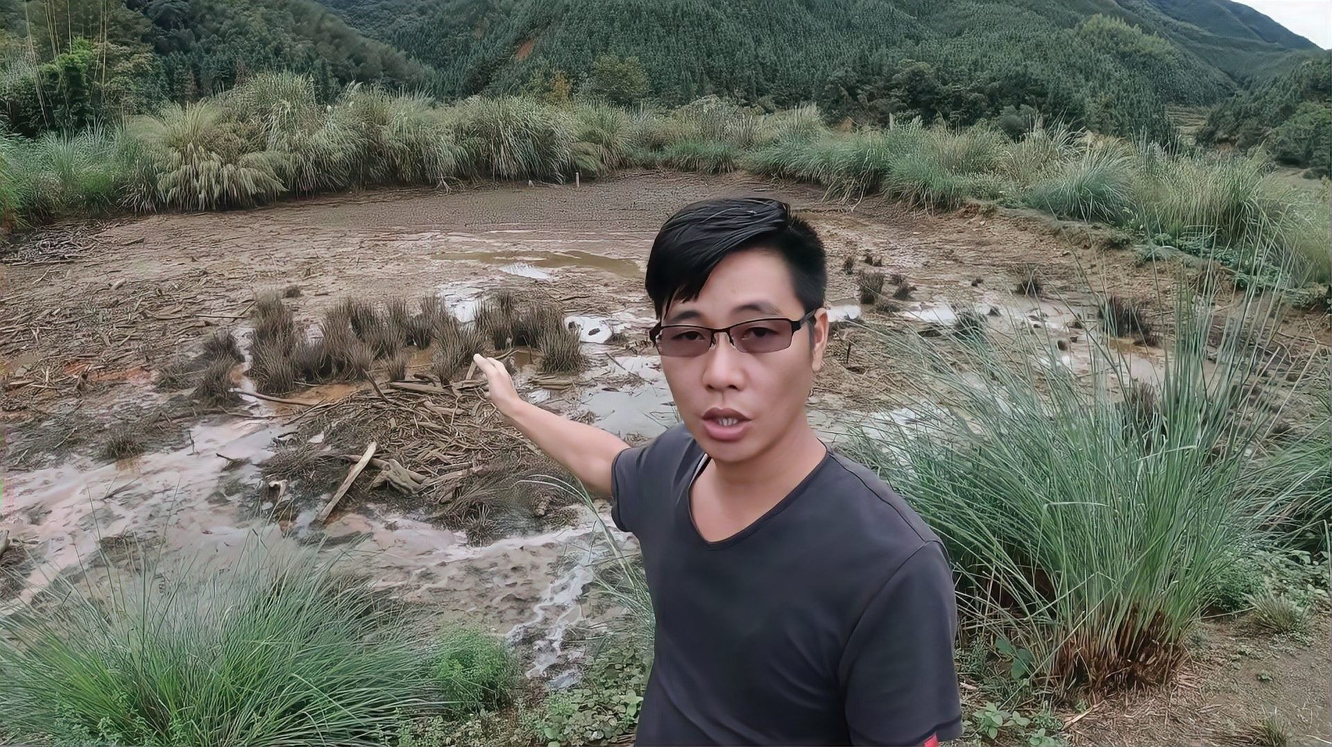 金龍魚魚苗的市場需求如何