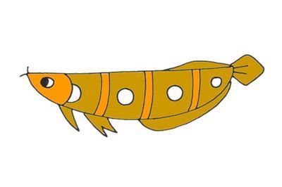 簡(jiǎn)筆畫龍魚怎么畫（簡(jiǎn)筆畫龍魚的基本步驟指南）