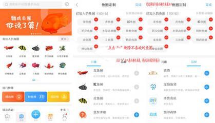 龍魚之巔手機版下載龍魚之巔手機版下載（龍巔觀賞魚app下載）：龍魚之巔app新手養魚指南