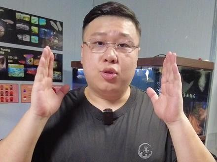 紅龍魚的挑選標(biāo)準(zhǔn)圖片視頻
