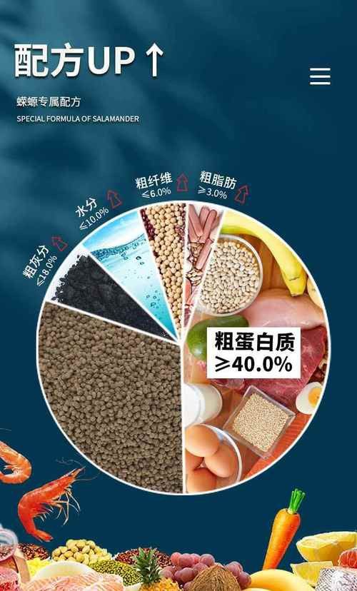 恐龍魚能吃多大的魚飼料啊圖片