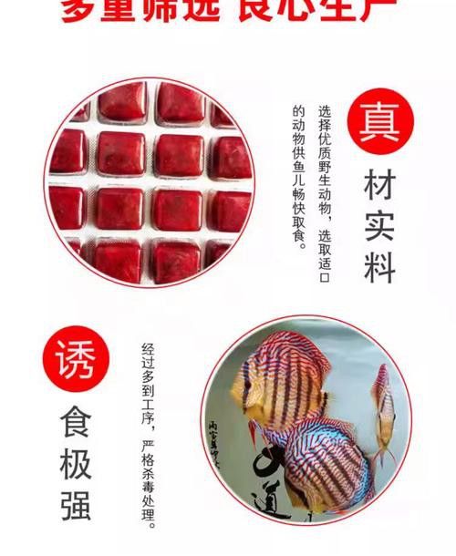恐龍魚能吃多大的魚飼料啊圖片