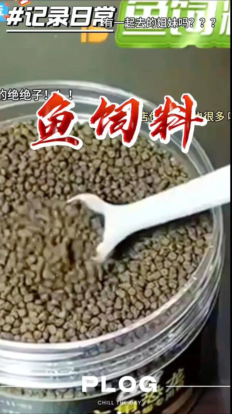 恐龍魚能吃多大的魚飼料啊圖片