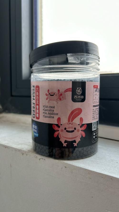 恐龍魚能吃多大的魚飼料啊圖片