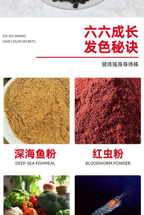 恐龍魚能吃多大的魚飼料啊圖片