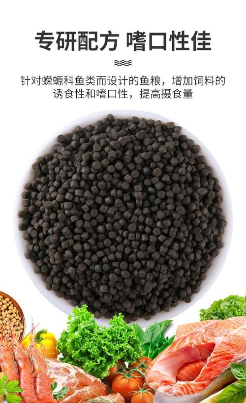 恐龍魚能吃多大的魚飼料啊圖片