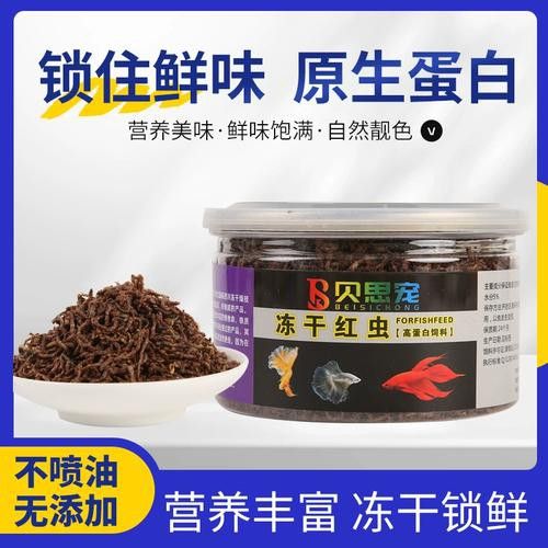 恐龍魚能吃多大的魚飼料啊圖片