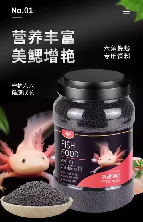 恐龍魚能吃多大的魚飼料啊圖片
