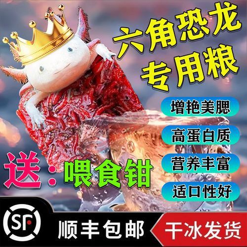 恐龍魚能吃多大的魚飼料啊圖片