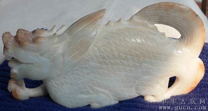 白玉龍魚特點介紹：2019-10-08白玉龍魚