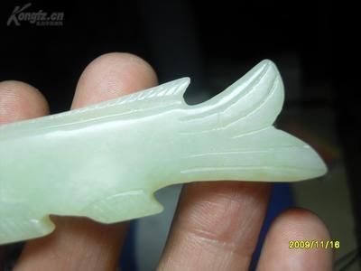 白玉龍魚特點介紹：2019-10-08白玉龍魚