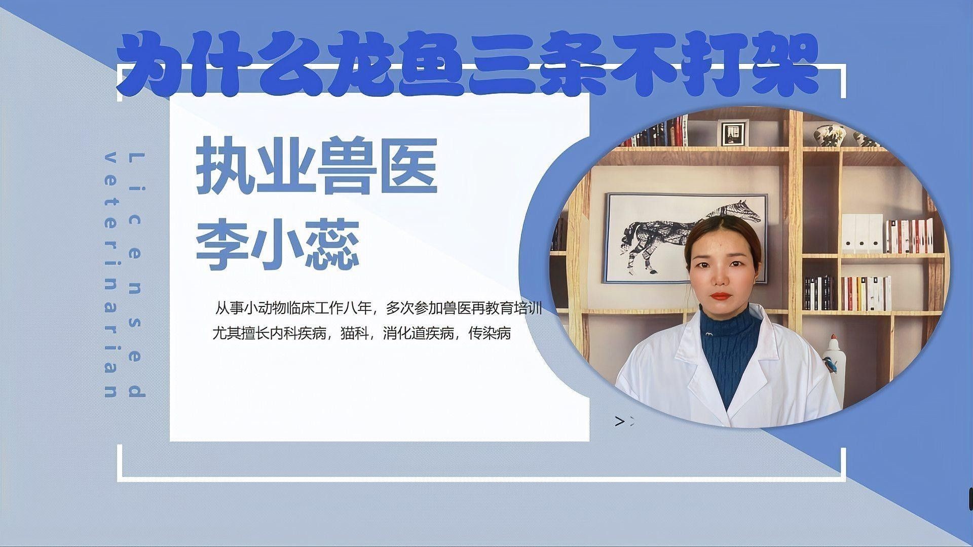 龍魚(yú)如何混養(yǎng)不打架的