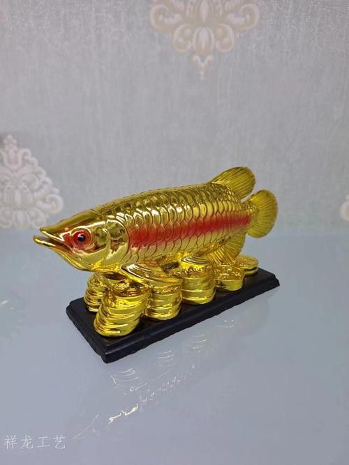 祥龍金龍魚怎么樣好養嗎圖片大全