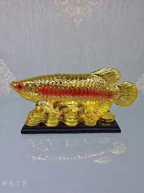 祥龍金龍魚怎么樣好養嗎圖片大全