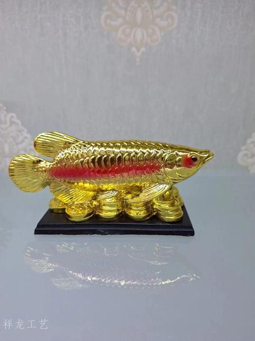 祥龍金龍魚怎么樣好養嗎圖片大全