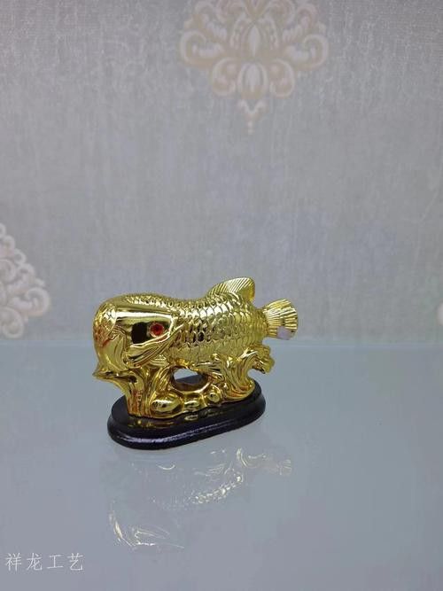 祥龍金龍魚怎么樣好養嗎圖片大全