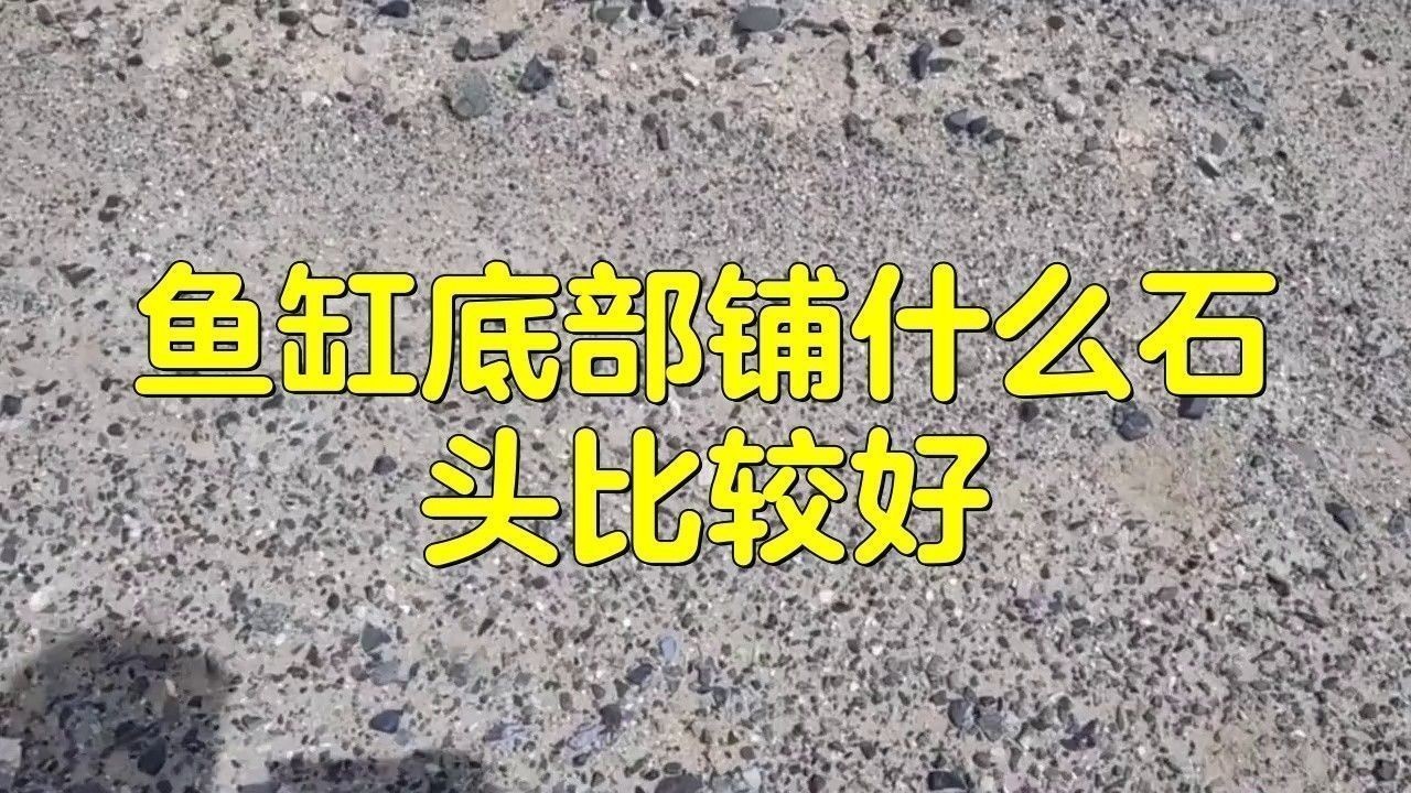 龍魚缸裝飾物有哪些材質