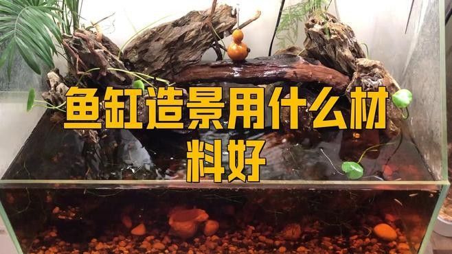 龍魚缸裝飾物有哪些材質