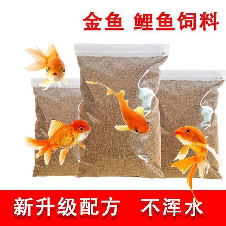 觀賞魚飼料品牌推薦