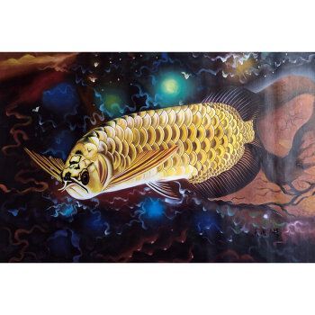 最貴的金龍魚是哪款魚種：拍賣場上最貴的金龍魚品種及其拍賣情況詳細信息：白金龍魚