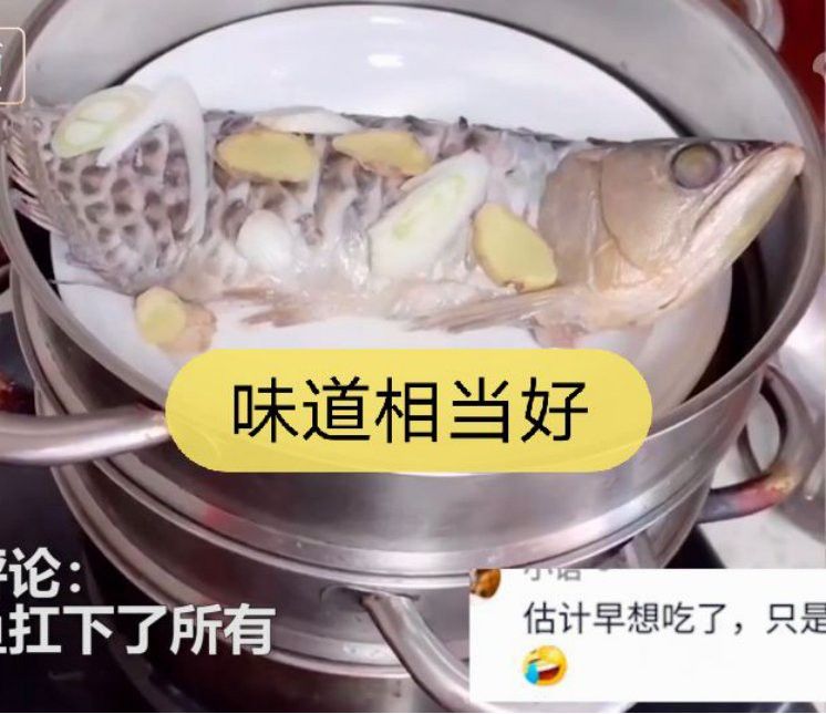 石家莊男子吃掉金龍魚視頻播放 石家莊男子吃掉金龍魚視頻播放 龍魚百科 第2張