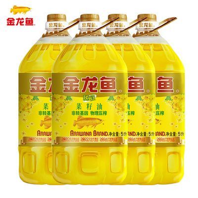 金龍魚等級排行榜：金龍魚品種分類詳解金龍魚品種分類詳解金龍魚等級區分類詳解