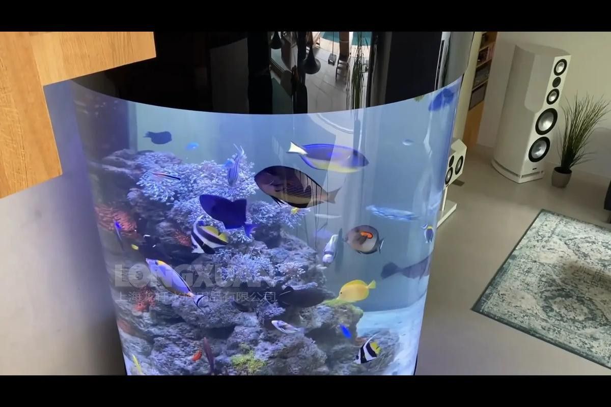 如何判斷一個龍缸品牌的質量? 龍魚百科 第1張 如何判斷一個龍缸品牌的質量? 如何判斷一個龍缸品牌的質量? 龍魚百科 第1張