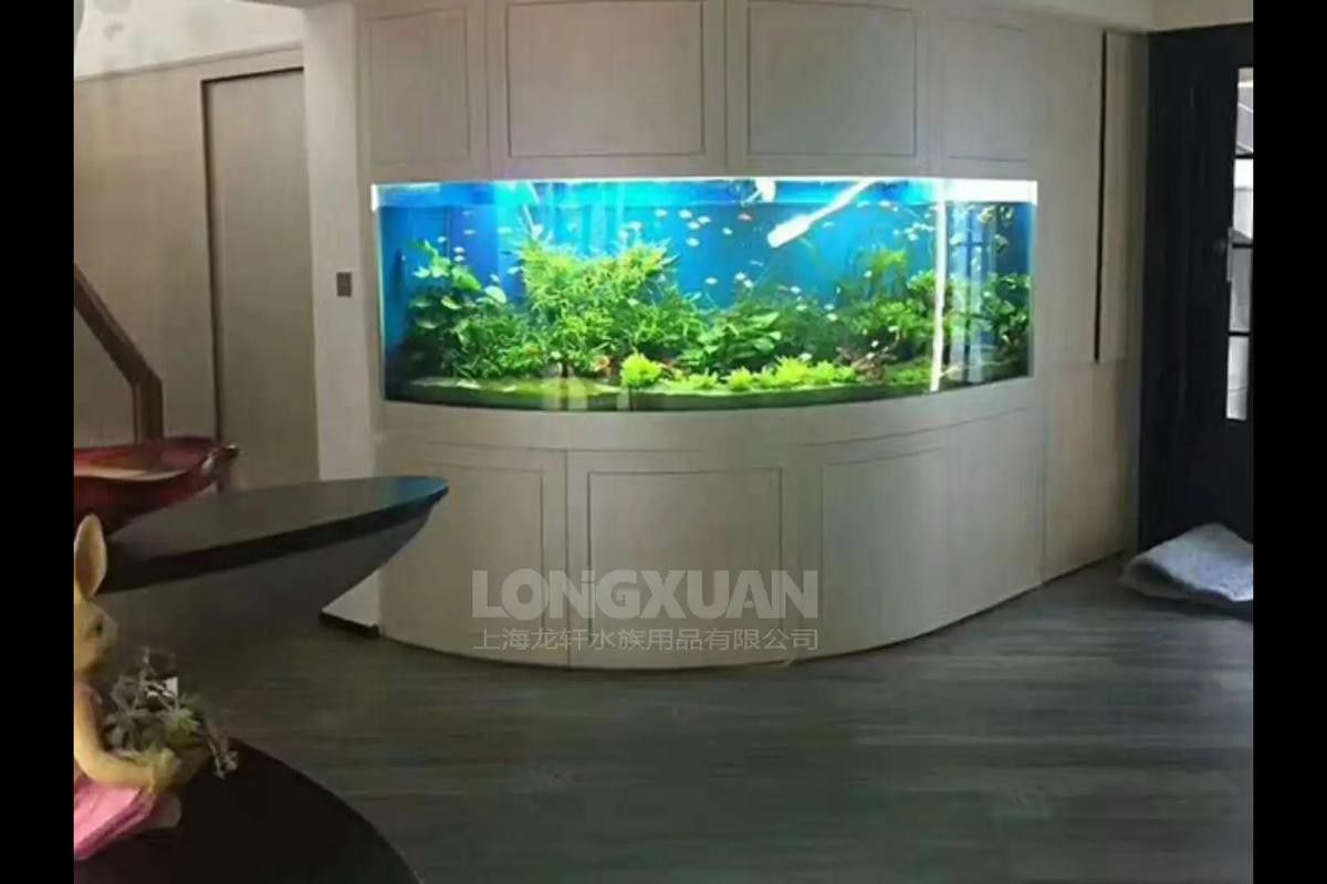 如何判斷一個龍缸品牌的質量? 龍魚百科 第2張 如何判斷一個龍缸品牌的質量? 如何判斷一個龍缸品牌的質量? 龍魚百科 第2張