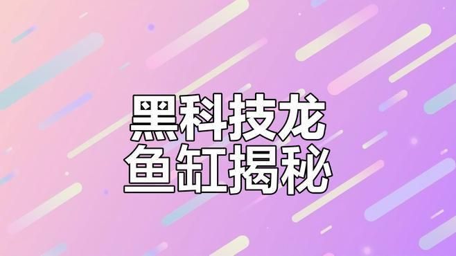 龍魚閣魚缸