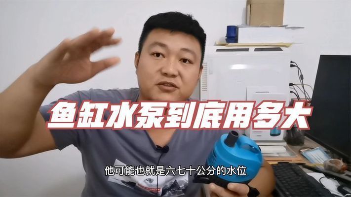 龍魚缸水泵選水體的幾倍：龍魚缸水泵選擇水體容量的5-10倍流量牌推薦
