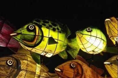 關于2024世界龍魚錦標賽的信息：2024世界龍魚錦標賽冠軍龍魚價值引發熱議網友發帖