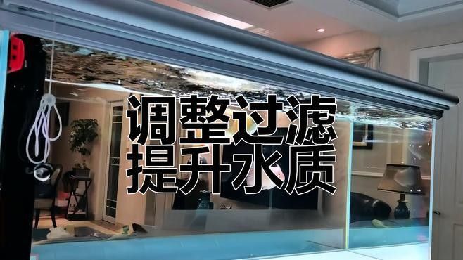 龍魚缸濾材擺放順序