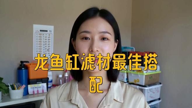 龍魚缸濾材擺放順序