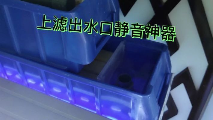 水鴨魚缸聲音大不大呀