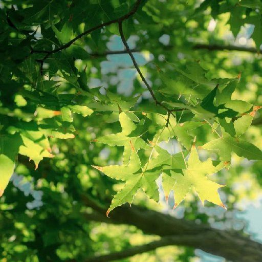 藍(lán)底過背金龍魚多少錢一條：探究藍(lán)底過背金龍魚的市場價(jià)格 藍(lán)底過背金龍魚多少錢一條：探究藍(lán)底過背金龍魚的市場價(jià)格 水族問答 第2張