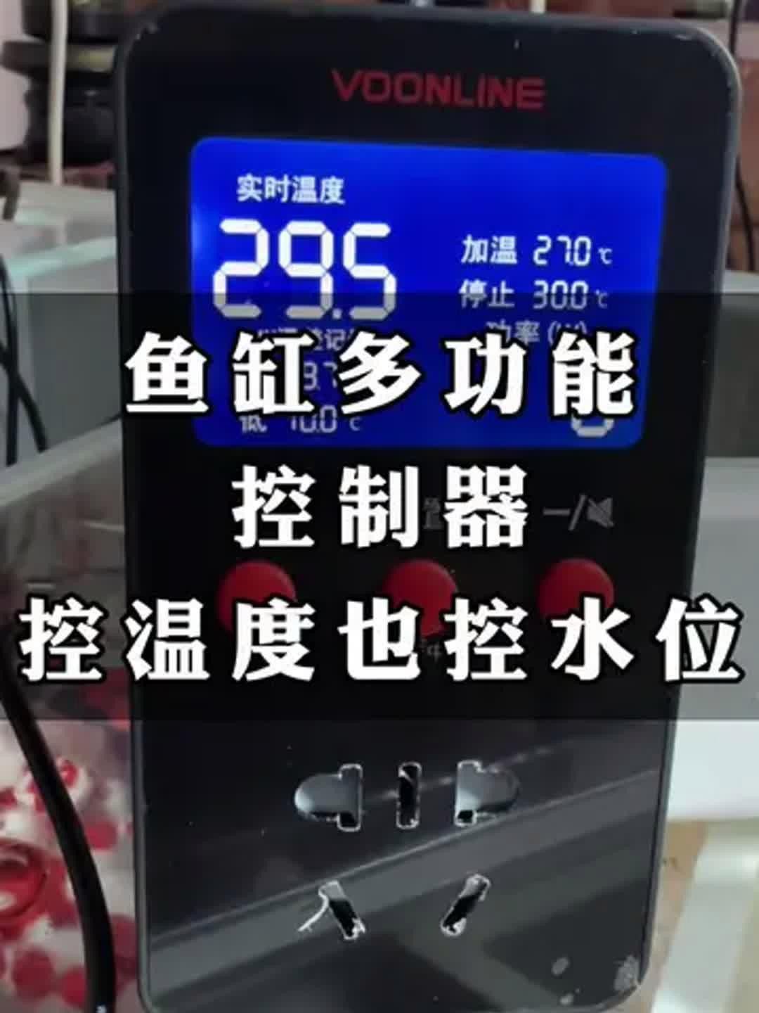 如何保持過背金龍生長水溫穩定？ 如何保持過背金龍生長水溫穩定？ 龍魚百科 第2張