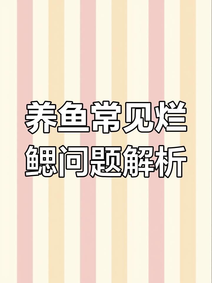 如何判斷魚鰓是否爛了？