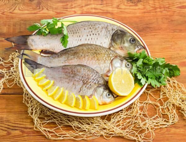 龍魚風水學問大全：龍魚風水學問，祥瑞之魚的居家布局奧秘