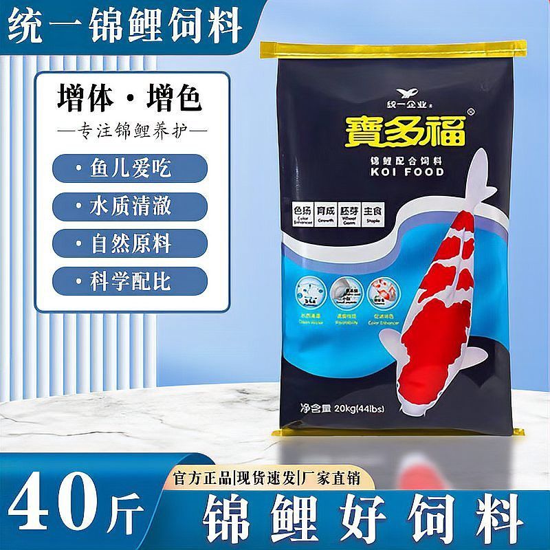 金龍魚吃食又吐出來