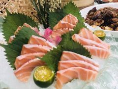 南寧龍魚批發市場地址查詢電話