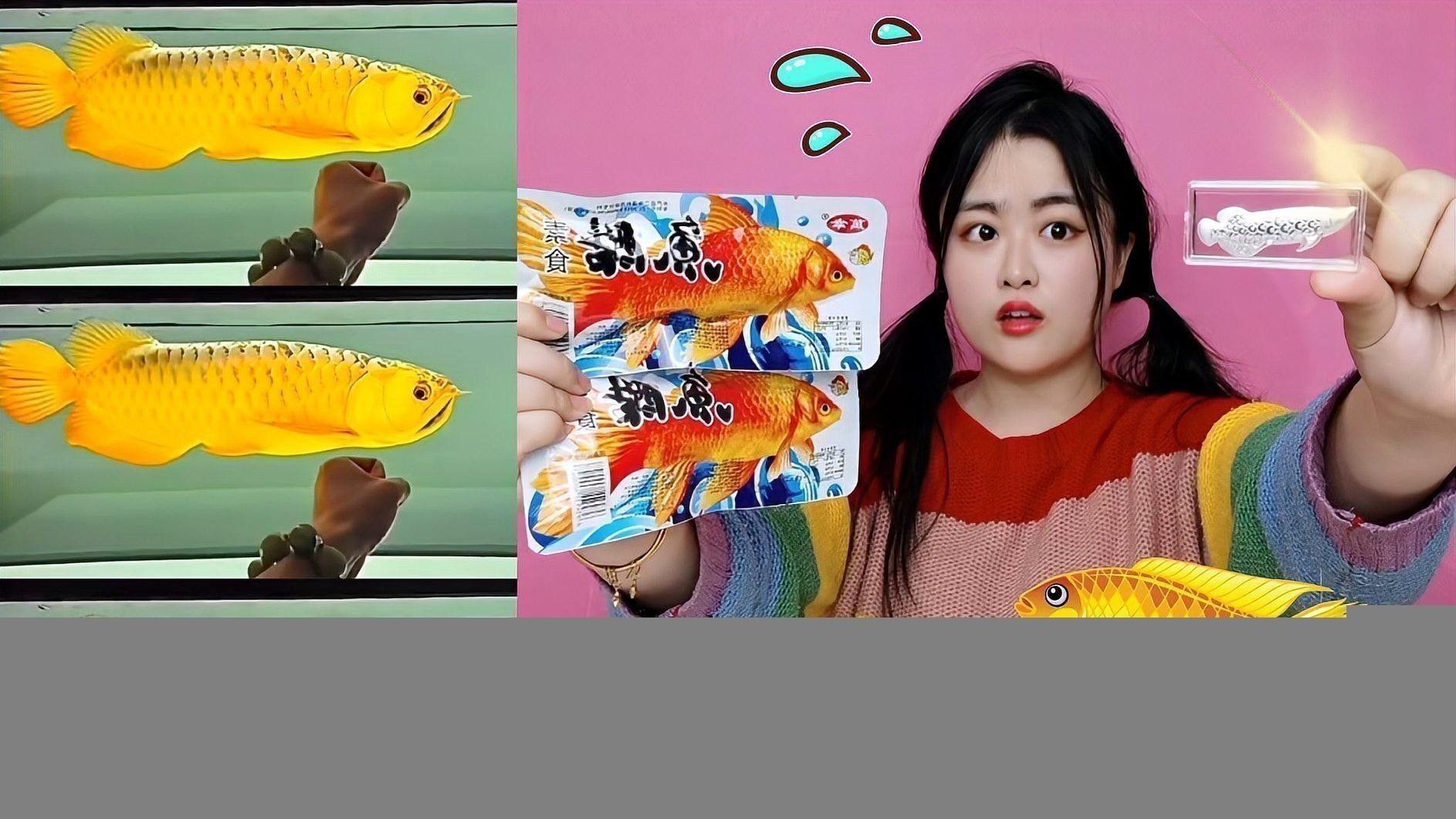 如何保持金龍魚缸水質(zhì)穩(wěn)定？