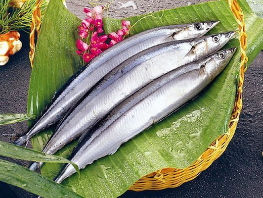 進口紅龍魚清關手續(xù)：進口紅龍魚清關手續(xù)包括以下幾個步驟包括以下幾個步驟