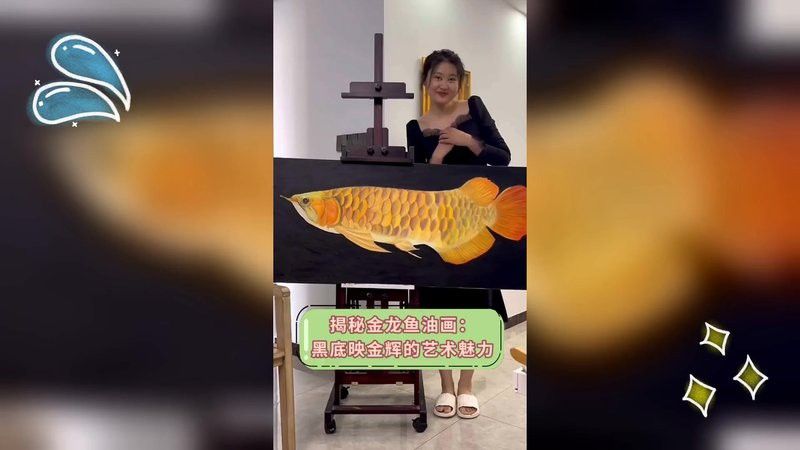 金龍魚視頻背景黑色