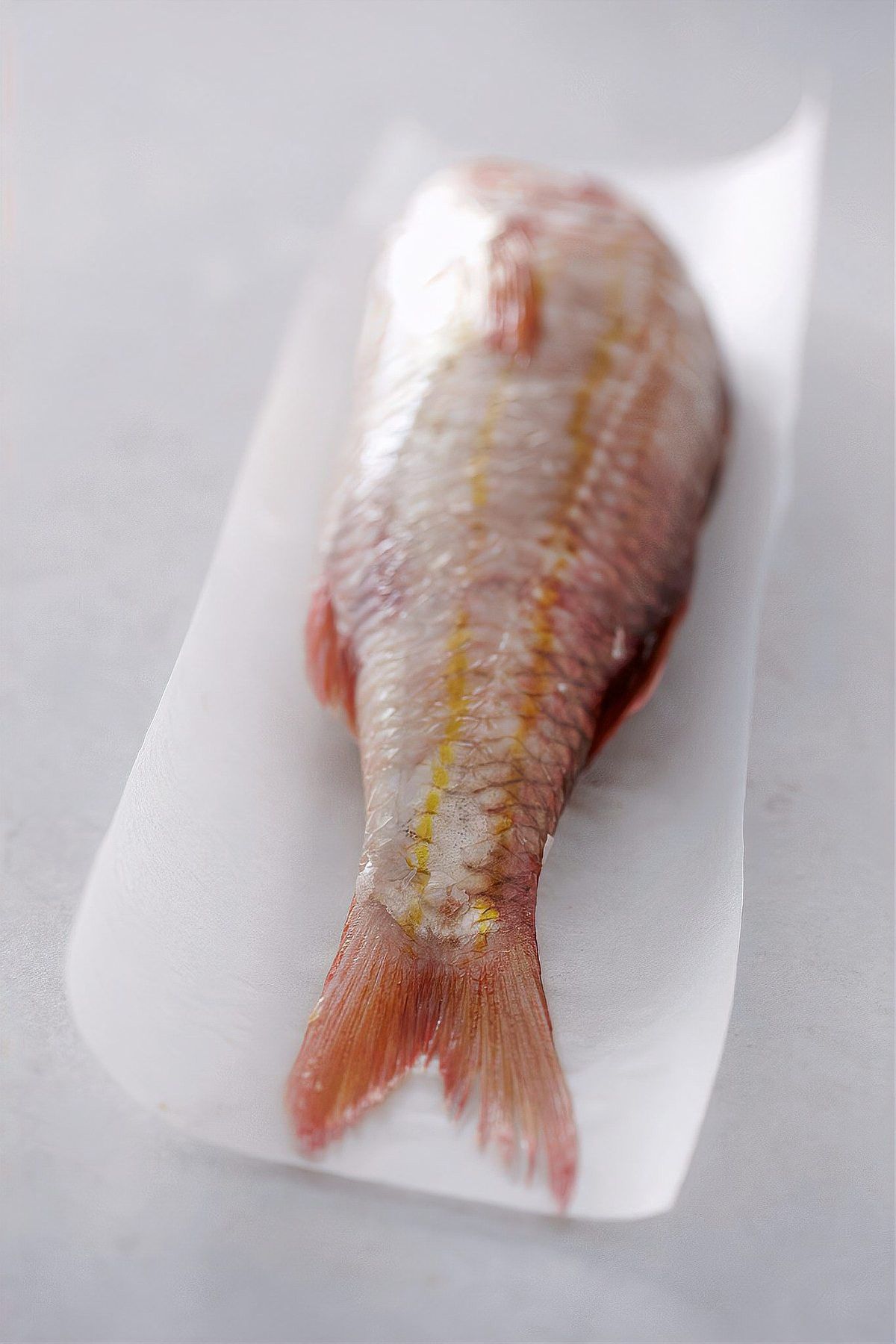 如何判斷巴沙魚和龍利魚是否新鮮？