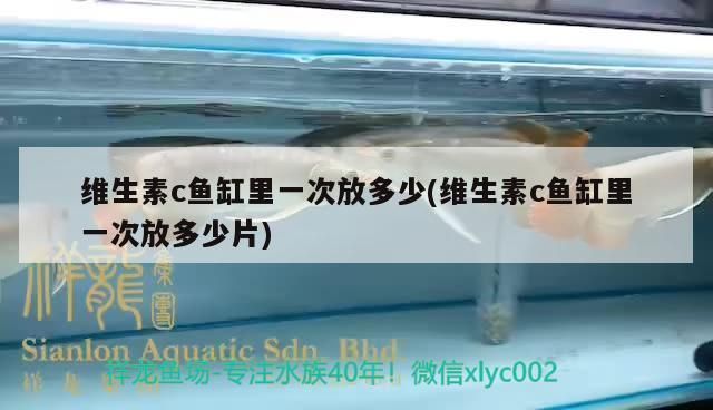 雪龍魚免疫增強食譜推薦:清蒸雪龍魚湯的烹飪技巧雪龍魚湯的烹飪技巧 龍魚百科 第5張 雪龍魚免疫增強食譜推薦:清蒸雪龍魚湯的烹飪技巧雪龍魚湯的烹飪技巧 雪龍魚免疫增強食譜推薦:清蒸雪龍魚湯的烹飪技巧雪龍魚湯的烹飪技巧 龍魚百科 第5張