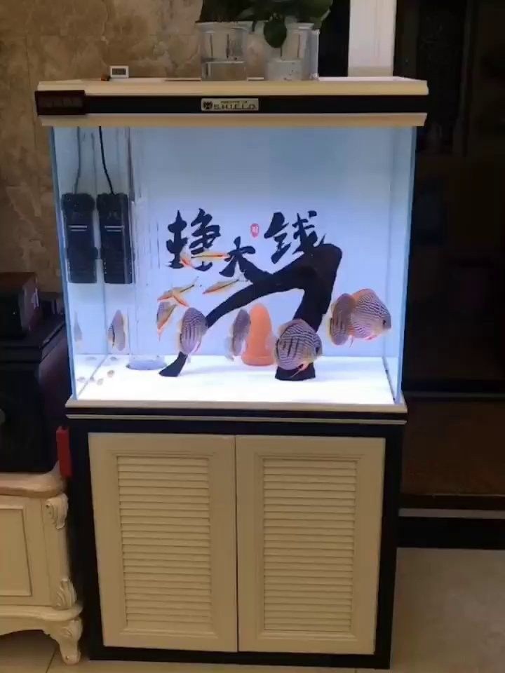 龍魚缸背景適合什么畫