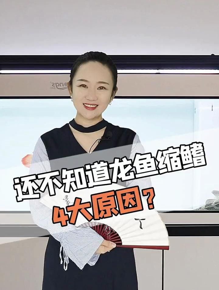 龍魚縮鰭怎么調整