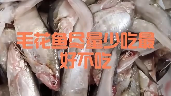 毛魚為何要盡量少吃